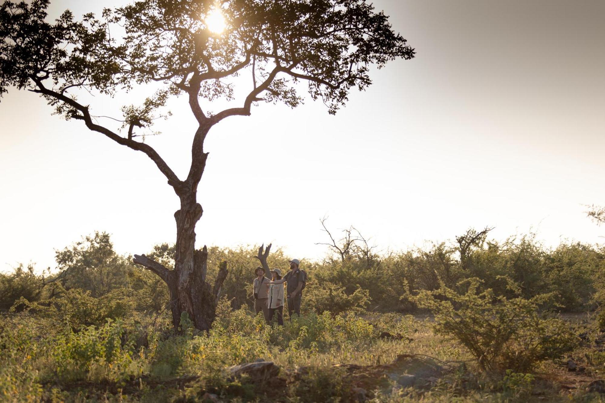 Rhulani Safari Lodge Madikwe Game Reserve Eksteriør bilde