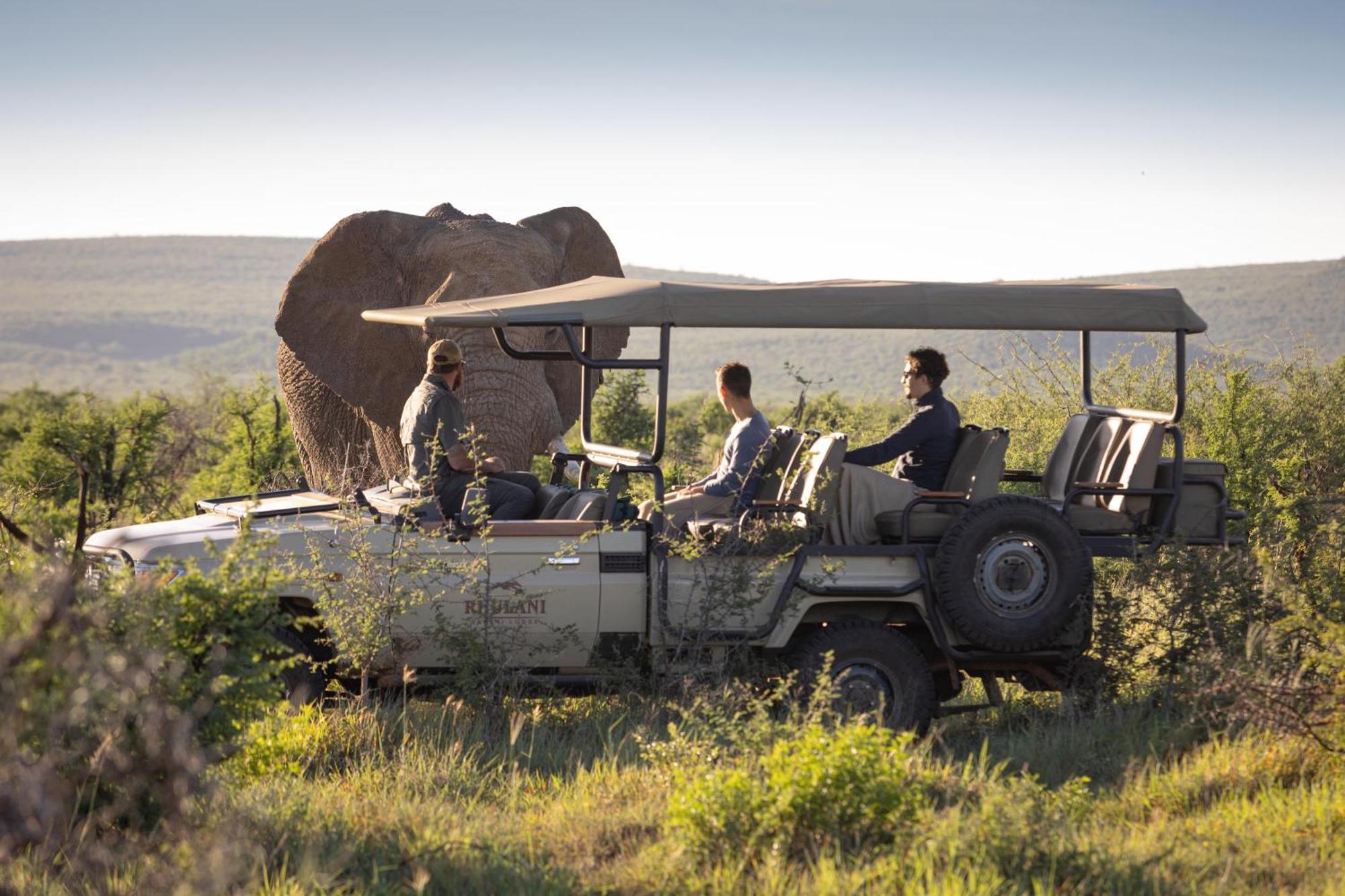 Rhulani Safari Lodge Madikwe Game Reserve Eksteriør bilde