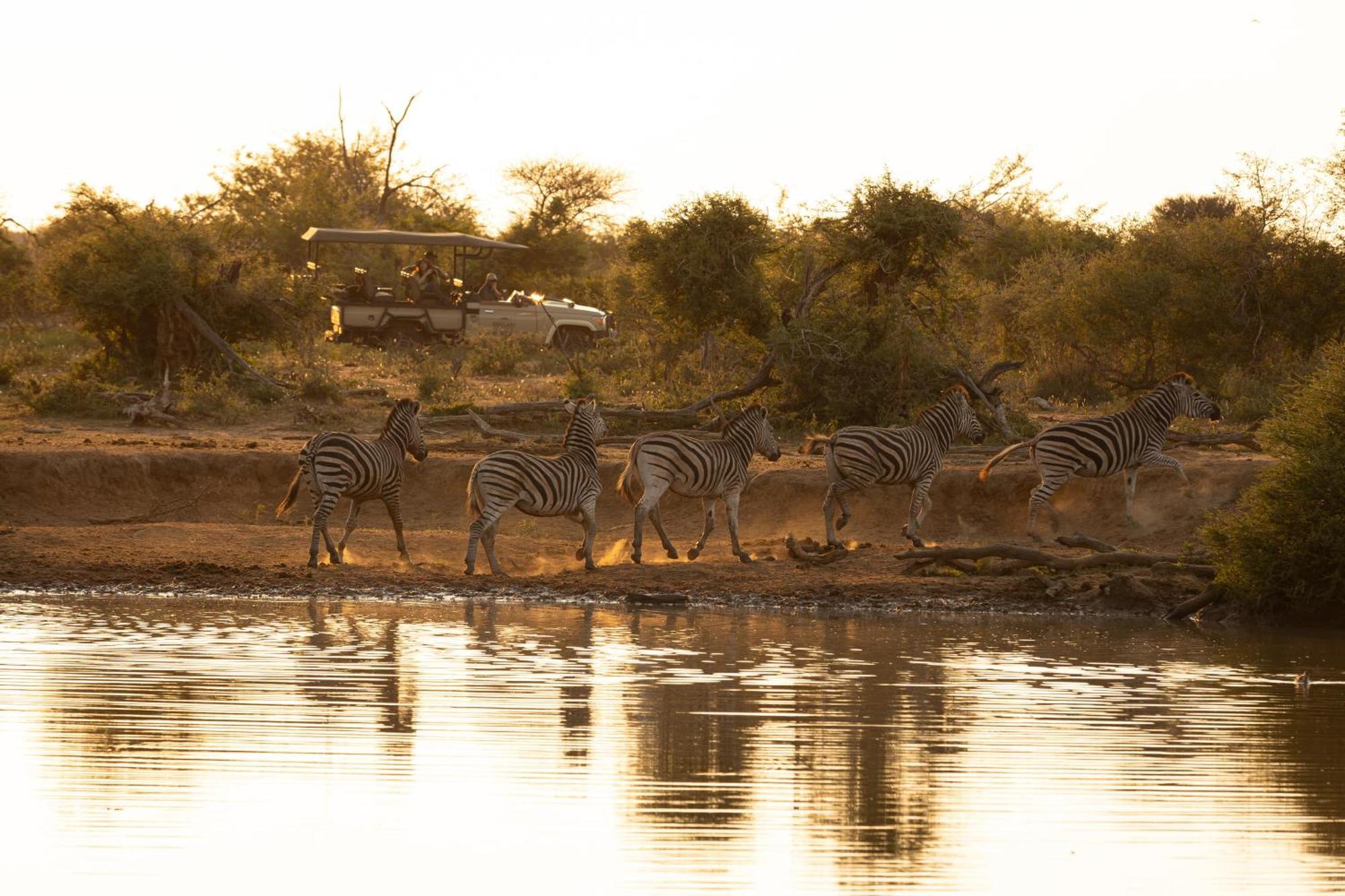 Rhulani Safari Lodge Madikwe Game Reserve Eksteriør bilde