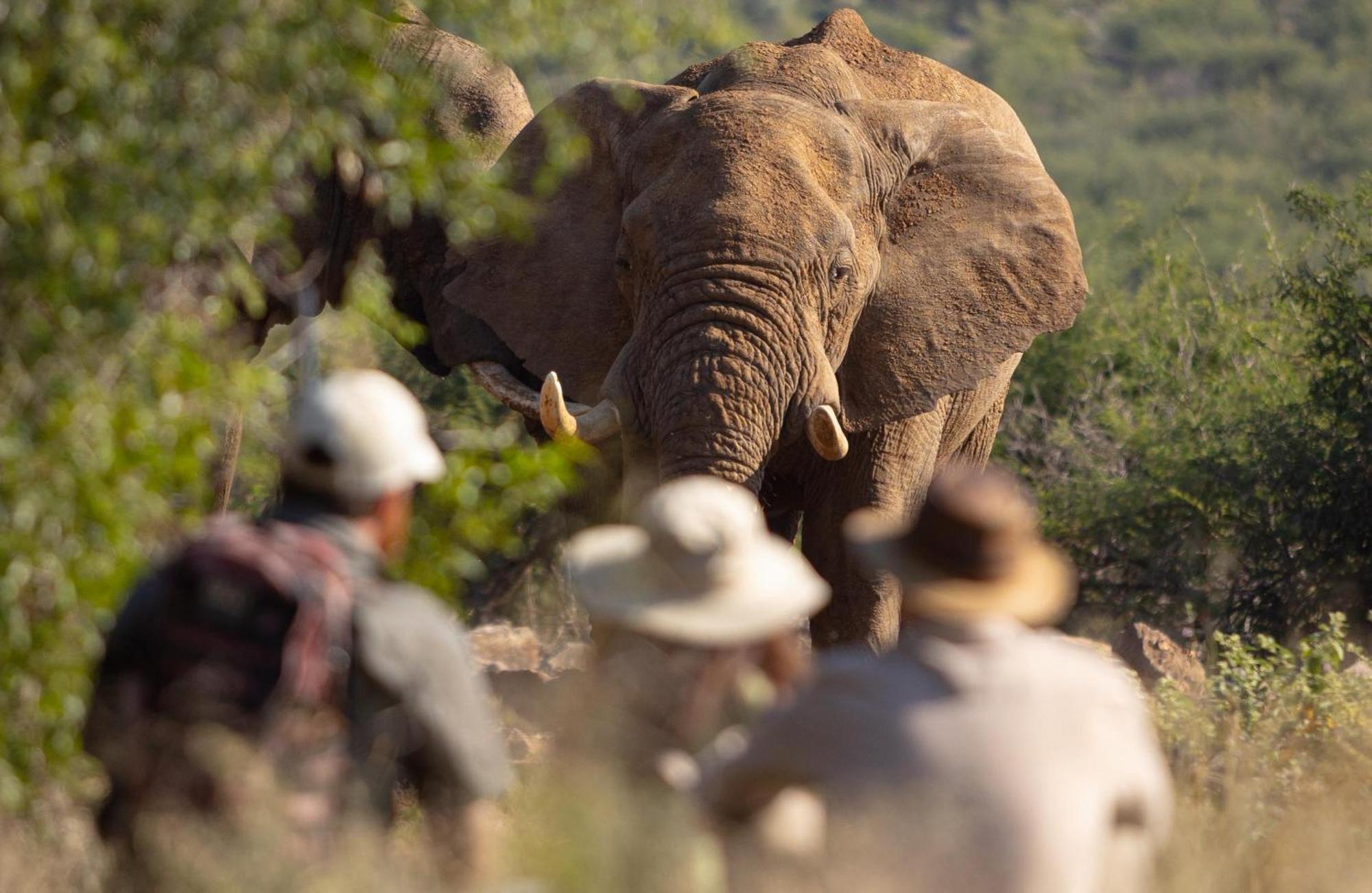 Rhulani Safari Lodge Madikwe Game Reserve Eksteriør bilde