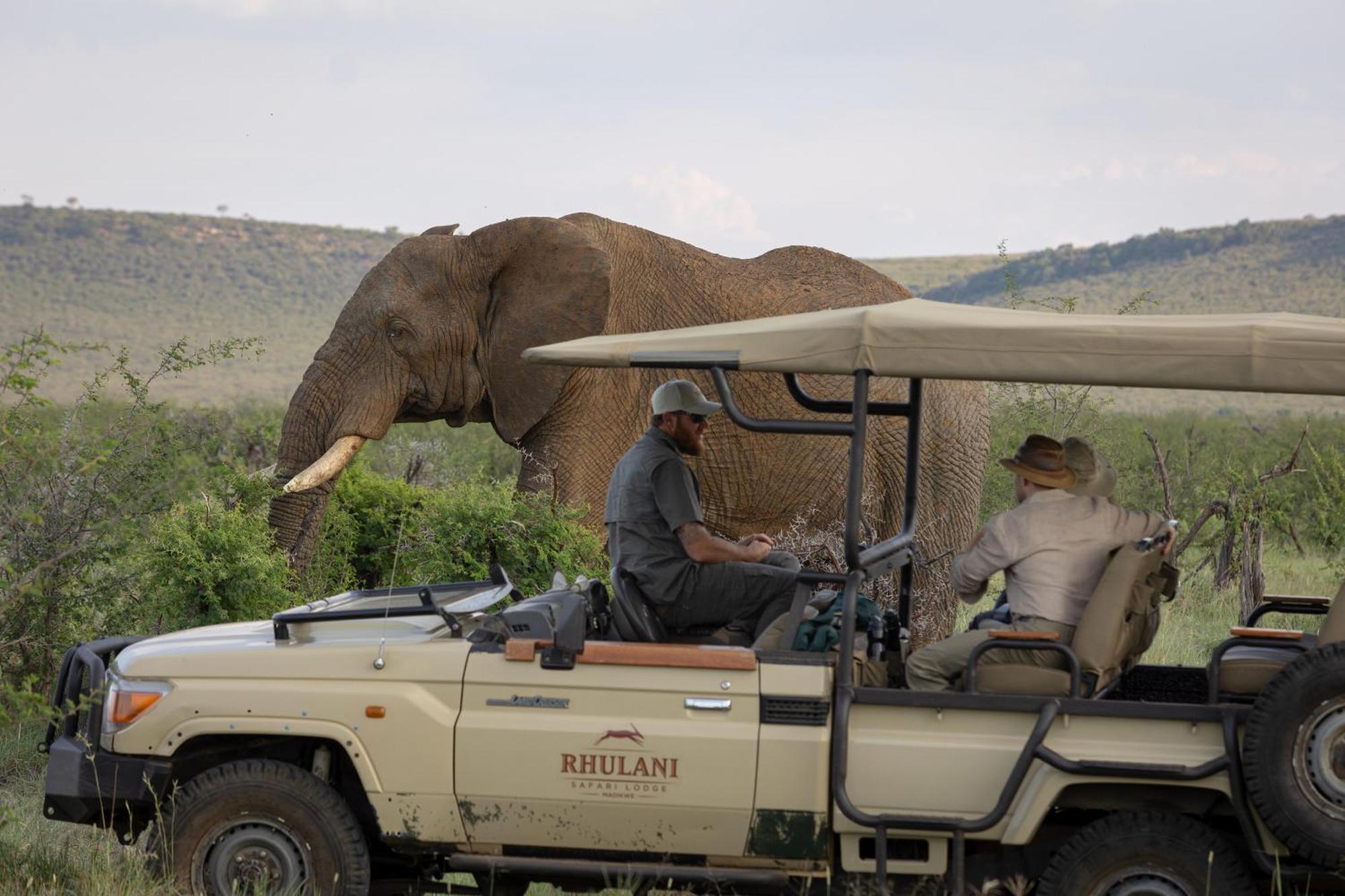Rhulani Safari Lodge Madikwe Game Reserve Eksteriør bilde